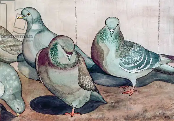 Hubbard-Ford, Carolyn: Pigeons