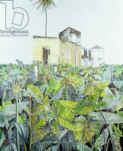 Reeve, James: Ruin in a Swamp, Haiti