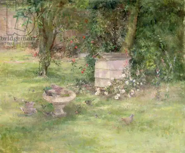 Haddon, Joyce: Beehive and Doves