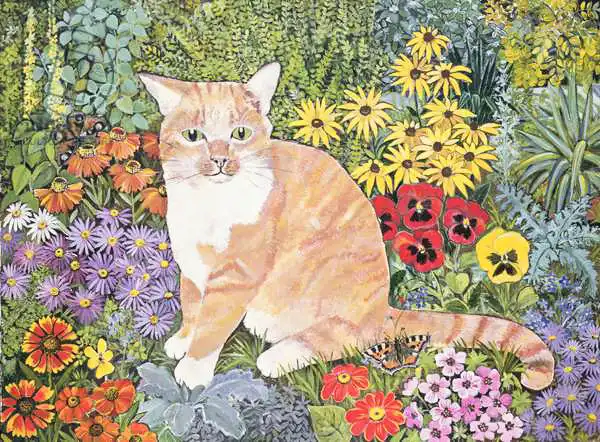 Jones, Hilary: Carpenter Cat