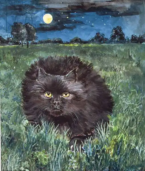 Jones, Hilary: Cat and the Moon