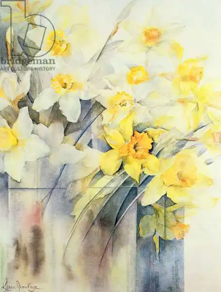 Armitage, Karen: Mixed Daffodils in a Tank