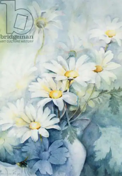 Armitage, Karen: Marguerites, Alejandría