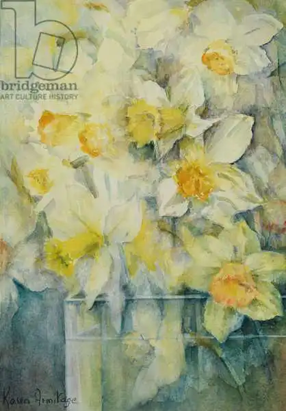 Armitage, Karen: Spring Time, mixed daffodils in tank No 3., Mrs Krelage, Ice Follies and Fortune