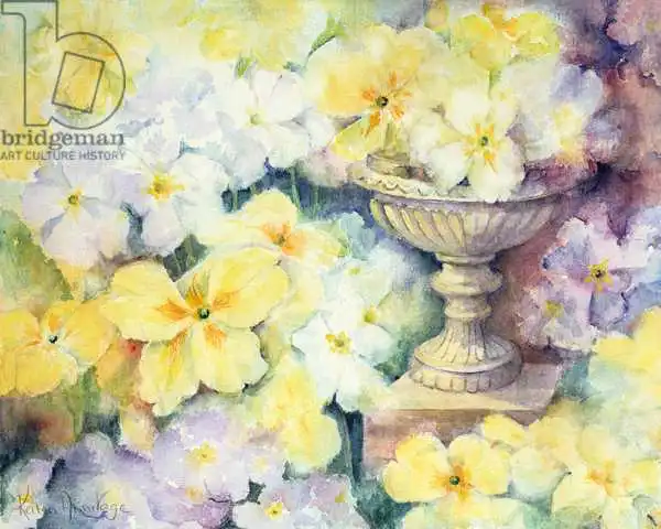 Armitage, Karen: Polyanthus at Hurst