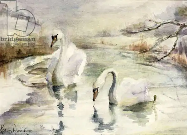 Armitage, Karen: Swans en hiver