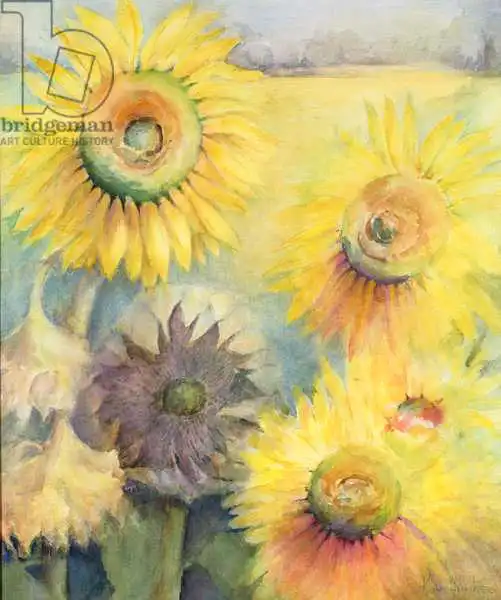 Armitage, Karen: Girasoles
