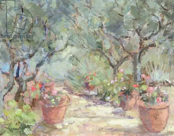 Armitage, Karen: Garden in Porto Ercole, Italy