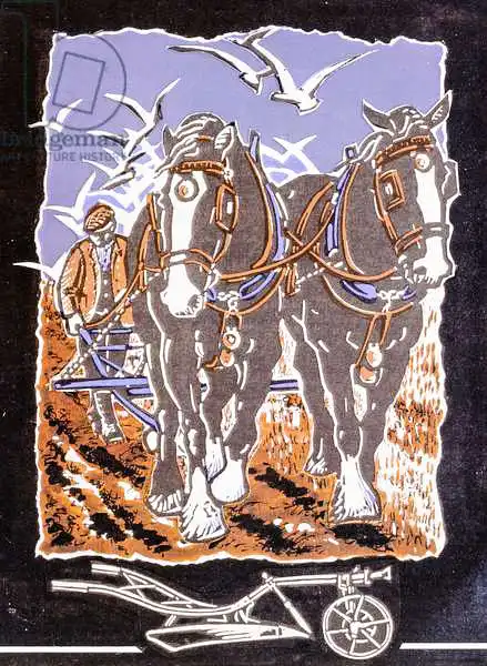 Cater, Karen: The Plough