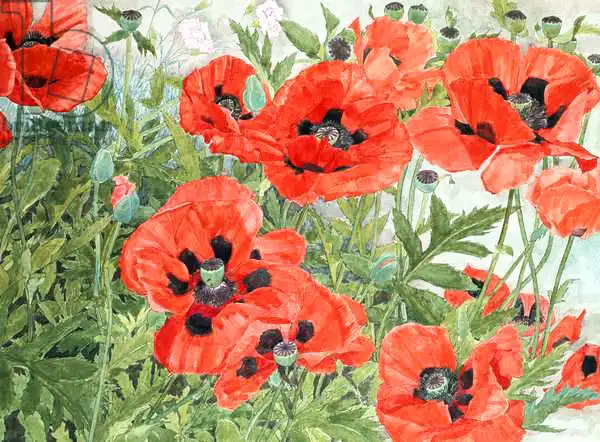 Benton, Linda: Poppies