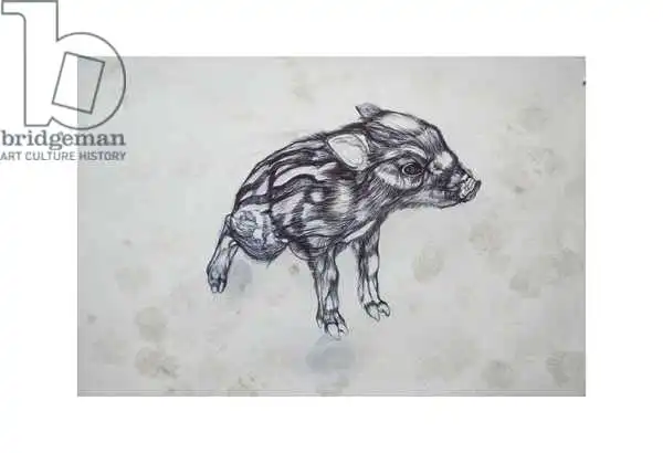 Gibbs, Lo: Little Pig