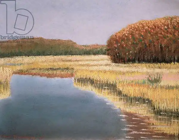 Delevoryas, Lillian: New England Autumn