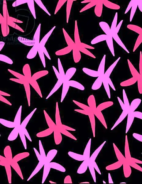 Hereford, Louis: Flower Stars