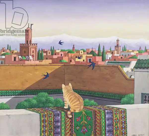 Smart, Larry: Rooftops in Marrakesh