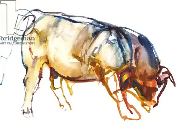 Adlington, Mark: Little Bull