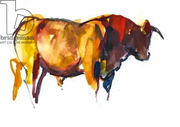 Adlington, Mark: Sunset Bull