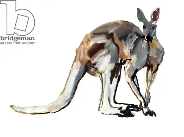 Adlington, Mark: Roo, (Red Kangaroo)