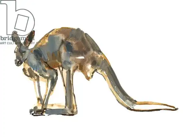 Adlington, Mark: Ochre Dusted (Red Kangaroo)