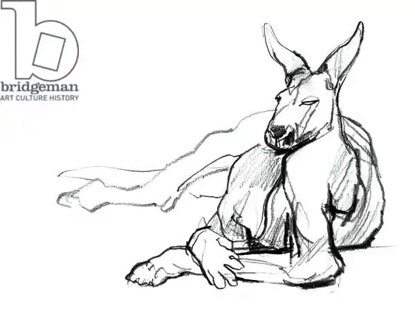 Adlington, Mark: Resting Athlete (Red Kangaroo)