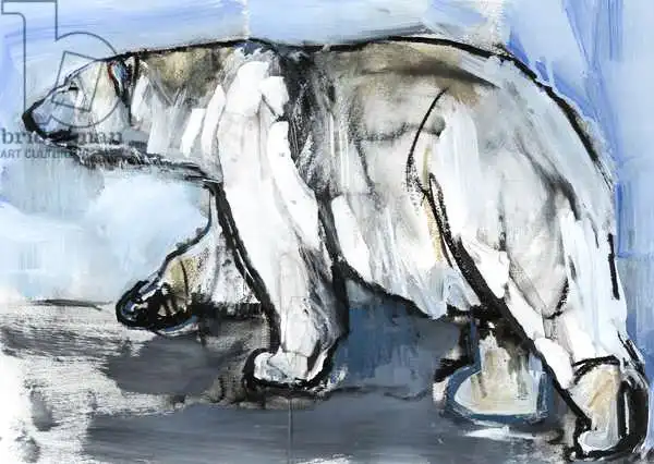 Adlington, Mark: Polar