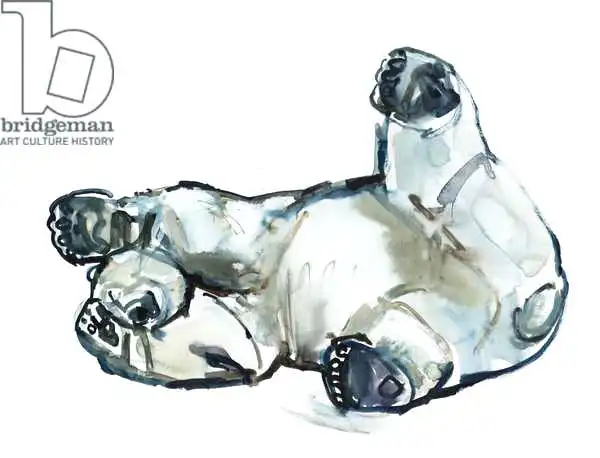 Adlington, Mark: Snow Rub (Polar Bear)