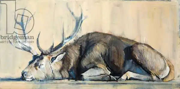 Adlington, Mark: Stag