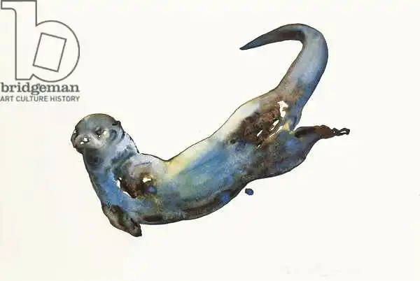 Adlington, Mark: Aqua