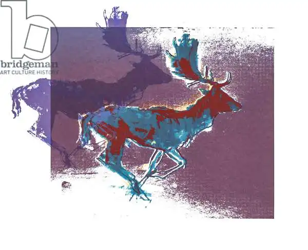 Adlington, Mark: Fallow Bucks (blue/red, purple)