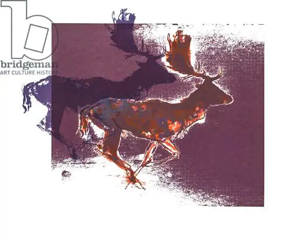 Adlington, Mark: Fallow Bucks