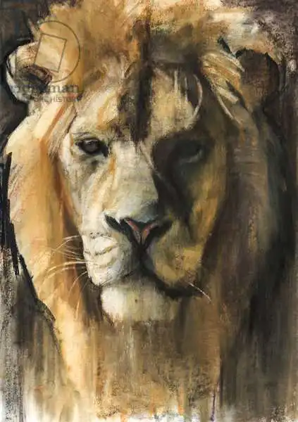 Adlington, Mark: Asiatic Lion