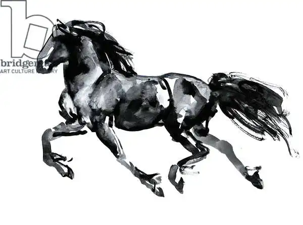 Adlington, Mark: Flying Friesian