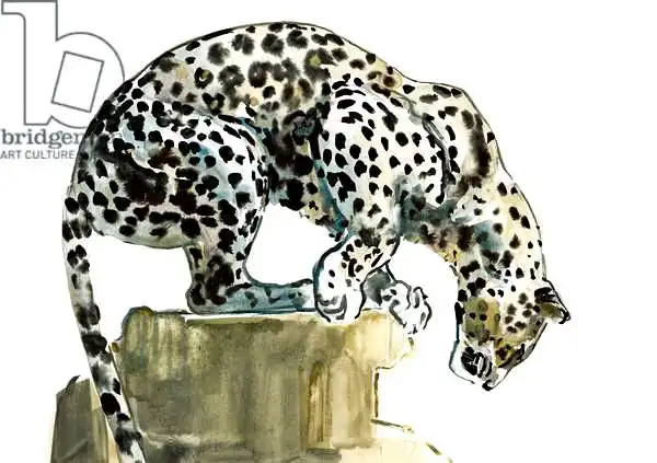 Adlington, Mark: Spine (Arabian) Leopard