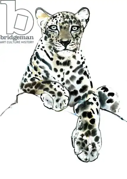 Adlington, Mark: Direct (Arabian Leopard)
