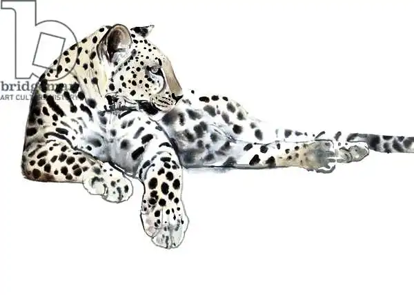 Adlington, Mark: Long (Arabian Leopard)