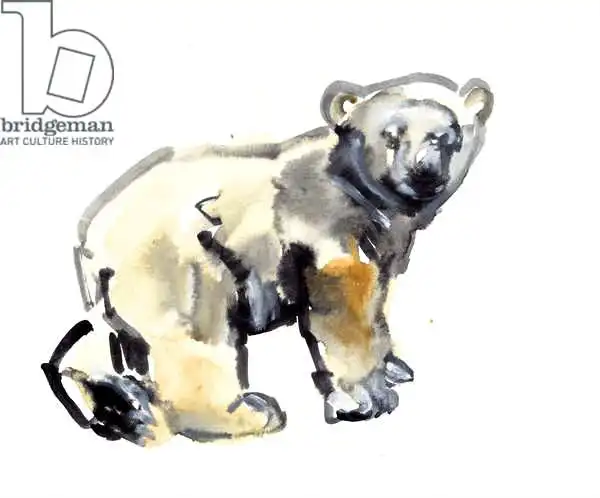 Adlington, Mark: Cub