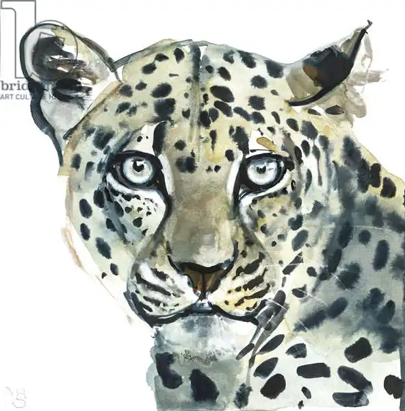 Adlington, Mark: Leopard