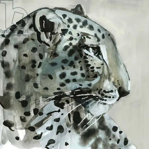 Adlington, Mark: Shadow