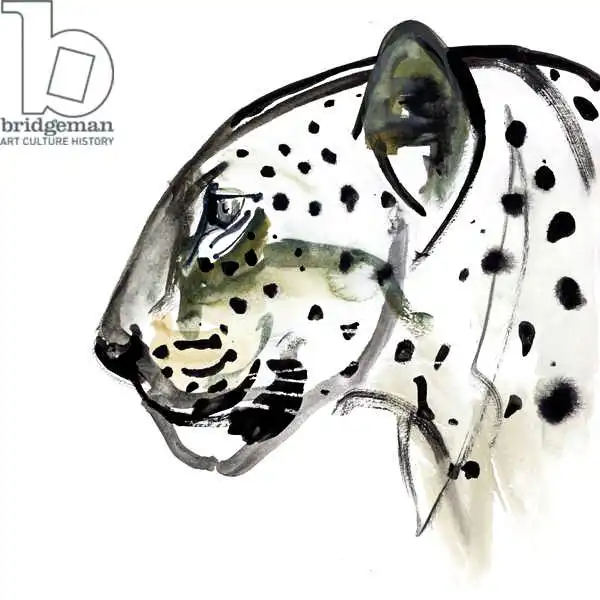 Adlington, Mark: Perfect Profile