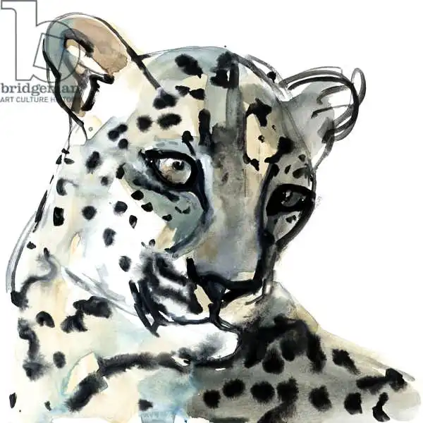 Adlington, Mark: Persian