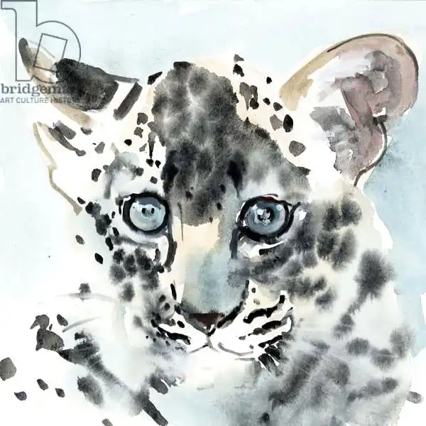 Adlington, Mark: Shy
