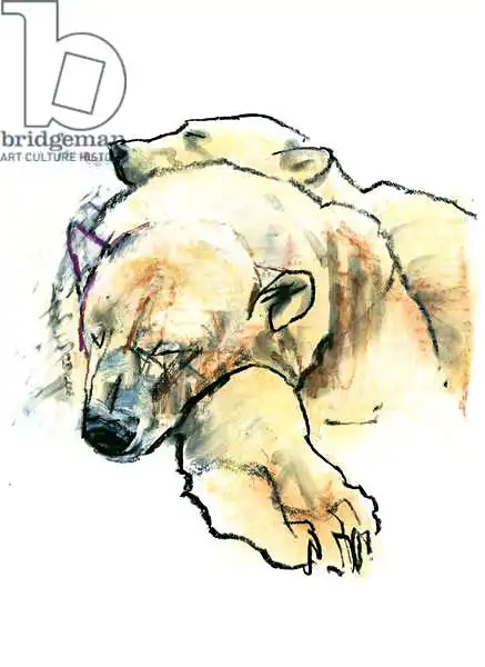 Adlington, Mark: Pillow