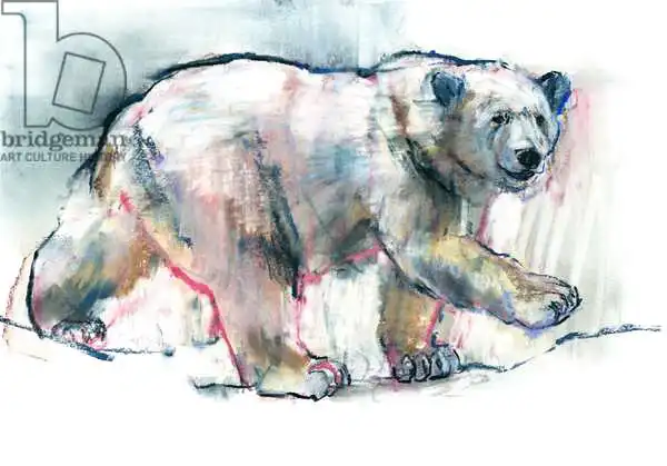 Adlington, Mark: Pink