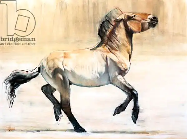 Adlington, Mark: Equus (Przewalski)