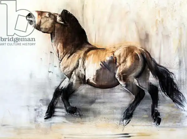 Adlington, Mark: Ancient Horse (Przewalski in winter)