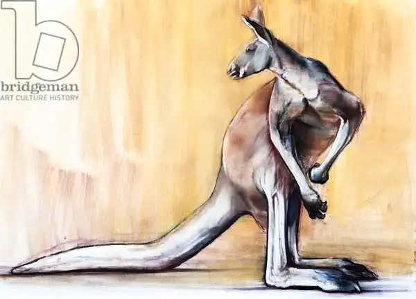 Adlington, Mark: Big Red (Kangaroo)