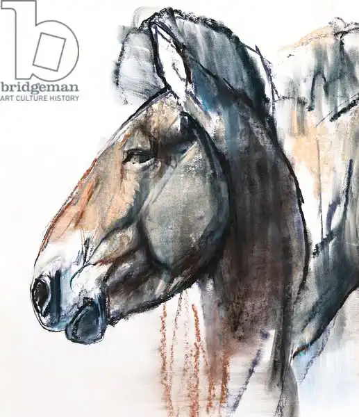 Adlington, Mark: Head Study, Przewalski (detail)