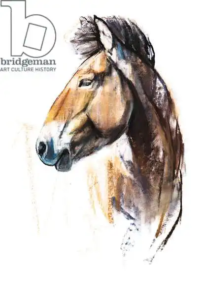 Adlington, Mark: Desert Spirit (Przewalski)