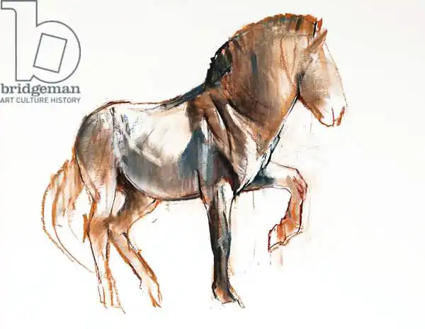 Adlington, Mark: Turning (Przewalski)