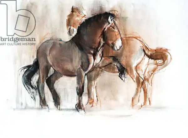Adlington, Mark: Two (Przewalski)
