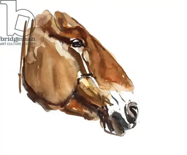 Adlington, Mark: Ancient Head (Przewalski)